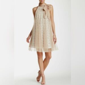 Ryu Delicate Lace Dress in Soft Pink